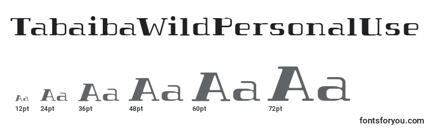 TabaibaWildPersonalUse Font Sizes