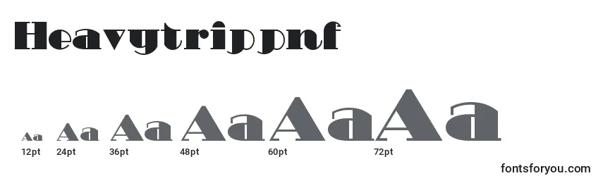 Heavytrippnf Font Sizes