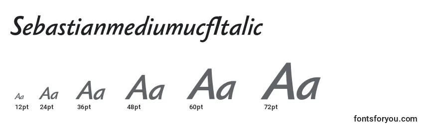 Размеры шрифта SebastianmediumucfItalic