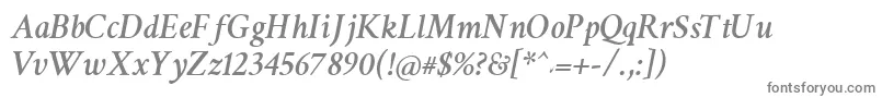 フォントCrimsonSemiboldItalic – 白い背景に灰色の文字