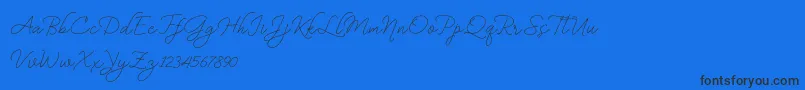 BekafonteDemo-Schriftart – Schwarze Schriften auf blauem Hintergrund