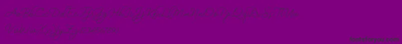 BekafonteDemo-Schriftart – Schwarze Schriften auf violettem Hintergrund