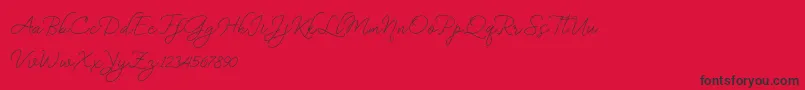BekafonteDemo Font – Black Fonts on Red Background