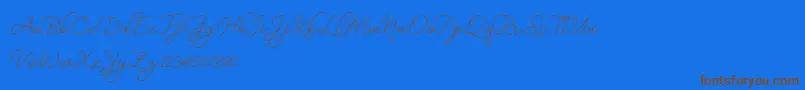 BekafonteDemo-Schriftart – Braune Schriften auf blauem Hintergrund