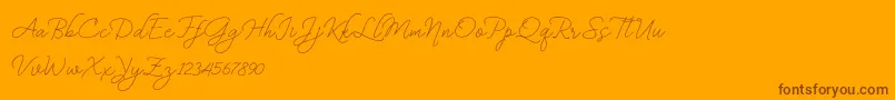 BekafonteDemo Font – Brown Fonts on Orange Background