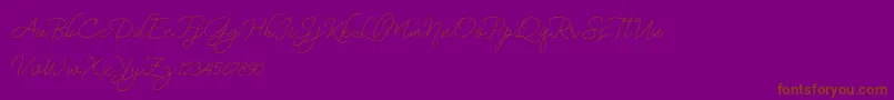 BekafonteDemo Font – Brown Fonts on Purple Background