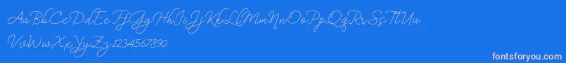 BekafonteDemo-Schriftart – Rosa Schriften auf blauem Hintergrund