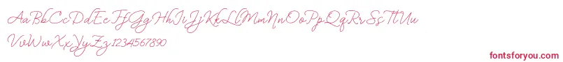 BekafonteDemo Font – Red Fonts on White Background