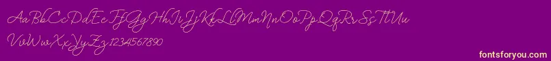 BekafonteDemo Font – Yellow Fonts on Purple Background