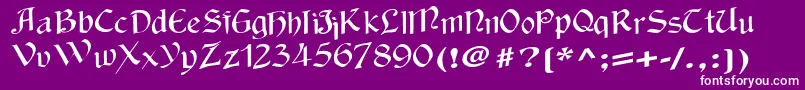 Wackycalligraphic-fontti – valkoiset fontit violetilla taustalla