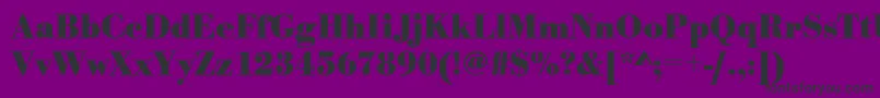 UrwbodonitnarBold Font – Black Fonts on Purple Background