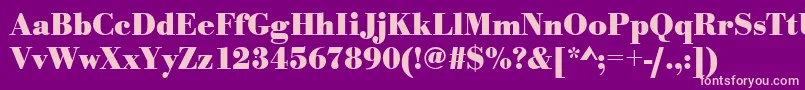 UrwbodonitnarBold Font – Pink Fonts on Purple Background