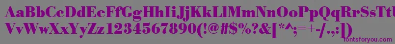 UrwbodonitnarBold Font – Purple Fonts on Gray Background