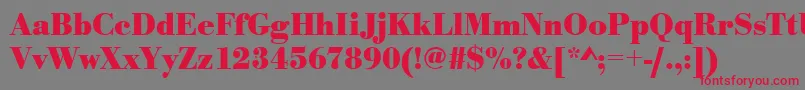 UrwbodonitnarBold Font – Red Fonts on Gray Background