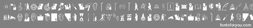 Slborges Font – White Fonts on Gray Background