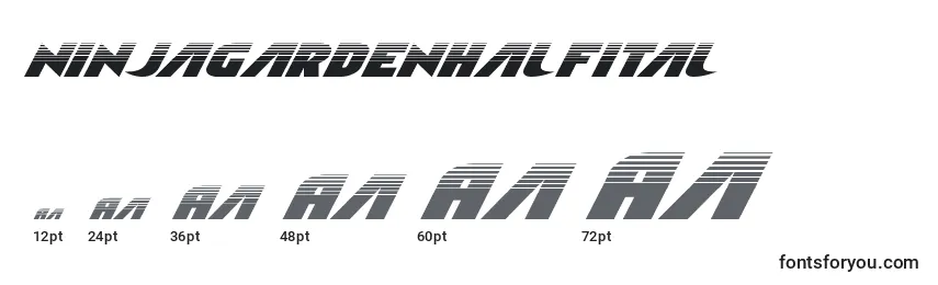 Ninjagardenhalfital Font Sizes