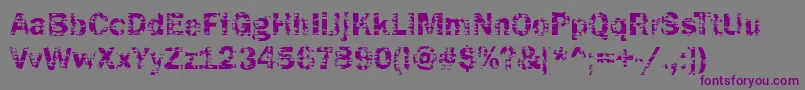 Funky04Bold Font – Purple Fonts on Gray Background