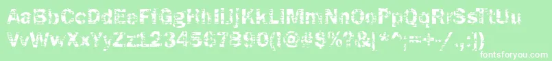 Funky04Bold Font – White Fonts on Green Background