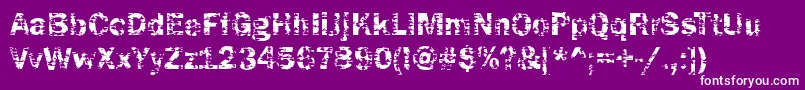 Funky04Bold Font – White Fonts on Purple Background