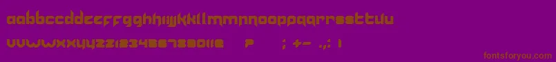 En savoir plus sur la police Vannoidyk Police Vannoidyk – polices brunes sur fond violet