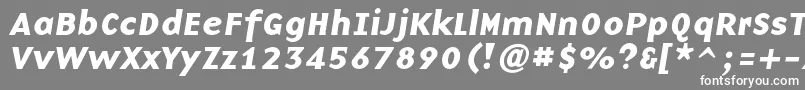 フォントBaseninecBolditalic – 灰色の背景に白い文字