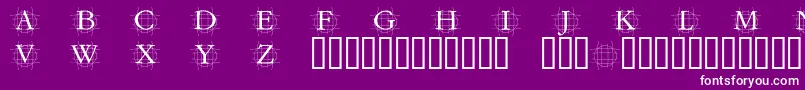 Grafrm Font – White Fonts on Purple Background