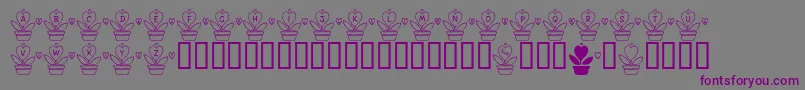 FlLovePlant-fontti – violetit fontit harmaalla taustalla