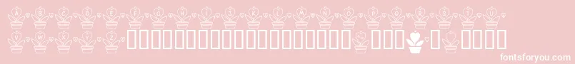 FlLovePlant-Schriftart – Weiße Schriften auf rosa Hintergrund