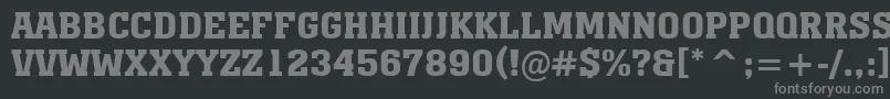 AMonumentotitulBold Font – Gray Fonts on Black Background