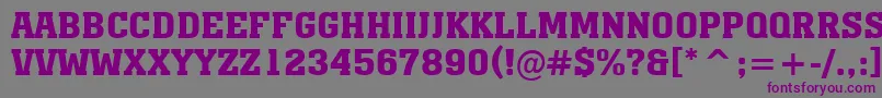 AMonumentotitulBold Font – Purple Fonts on Gray Background