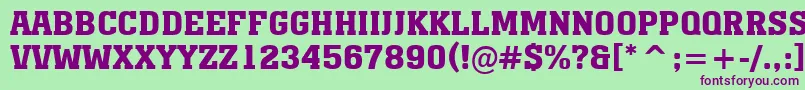 AMonumentotitulBold Font – Purple Fonts on Green Background