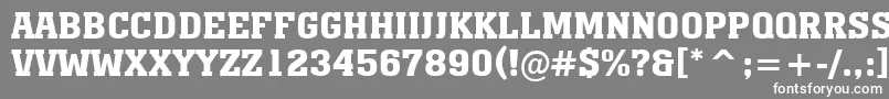 AMonumentotitulBold Font – White Fonts on Gray Background
