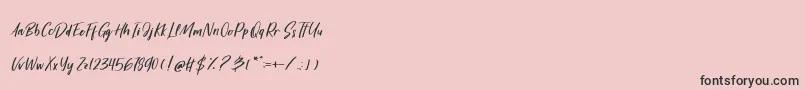 HarvestBarnPersonalUseOnly Font – Black Fonts on Pink Background