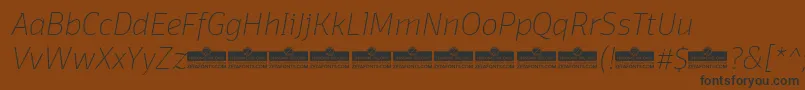 DomotikaThinItalicTrial Font – Black Fonts on Brown Background
