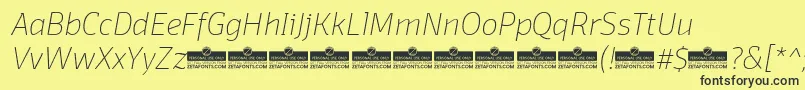 DomotikaThinItalicTrial Font – Black Fonts on Yellow Background