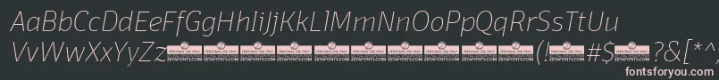 DomotikaThinItalicTrial Font – Pink Fonts on Black Background