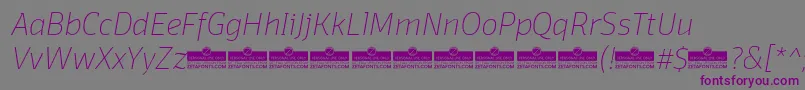 フォントDomotikaThinItalicTrial – 紫色のフォント、灰色の背景