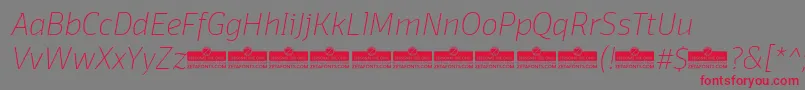 DomotikaThinItalicTrial Font – Red Fonts on Gray Background