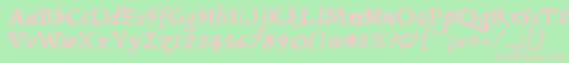 DuBellayItalic Font – Pink Fonts on Green Background