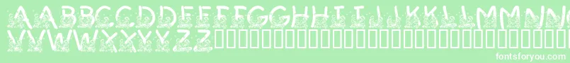 LmsSummerCampLoveフォントについての詳細 フォントLmsSummerCampLove – 緑の背景に白い文字