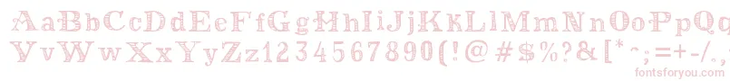 MoneyMoneyPlus Font – Pink Fonts on White Background