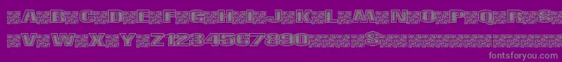 Righttrack Font – Gray Fonts on Purple Background