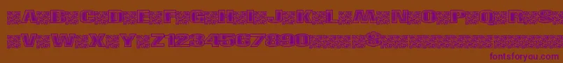 Righttrack Font – Purple Fonts on Brown Background