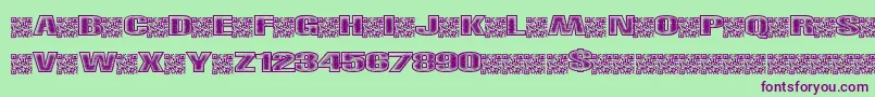 Righttrack Font – Purple Fonts on Green Background