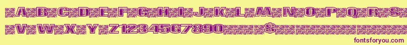 Righttrack Font – Purple Fonts on Yellow Background