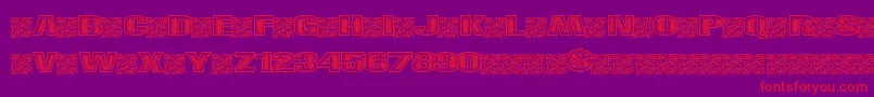 Righttrack Font – Red Fonts on Purple Background