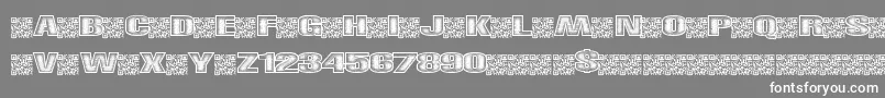 Righttrack Font – White Fonts on Gray Background