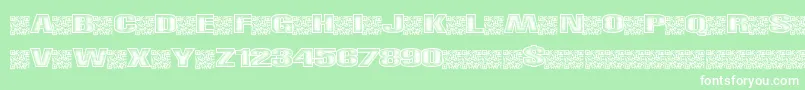 Righttrack Font – White Fonts on Green Background