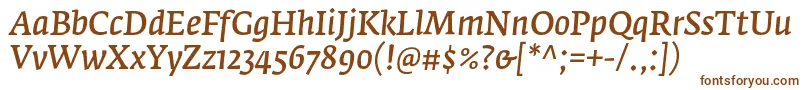 FedraserifaproNormalitalic Font – Brown Fonts