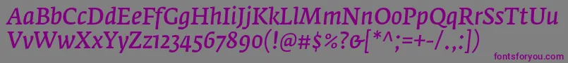 FedraserifaproNormalitalic Font – Purple Fonts on Gray Background